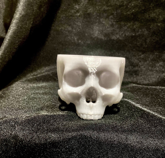 Hanging skull planter