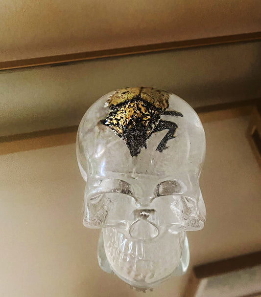 Rhinoceros beetle in resin skull