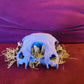 Conjoined Cat skull, with crystals