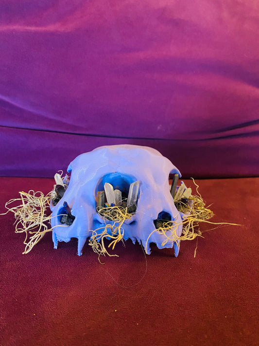 Conjoined Cat skull, with crystals